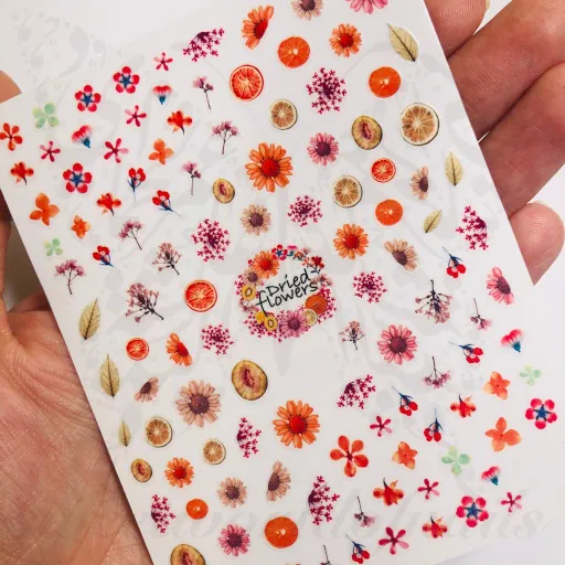 Autumn Nails Dried Flowers and Fruits Stickers