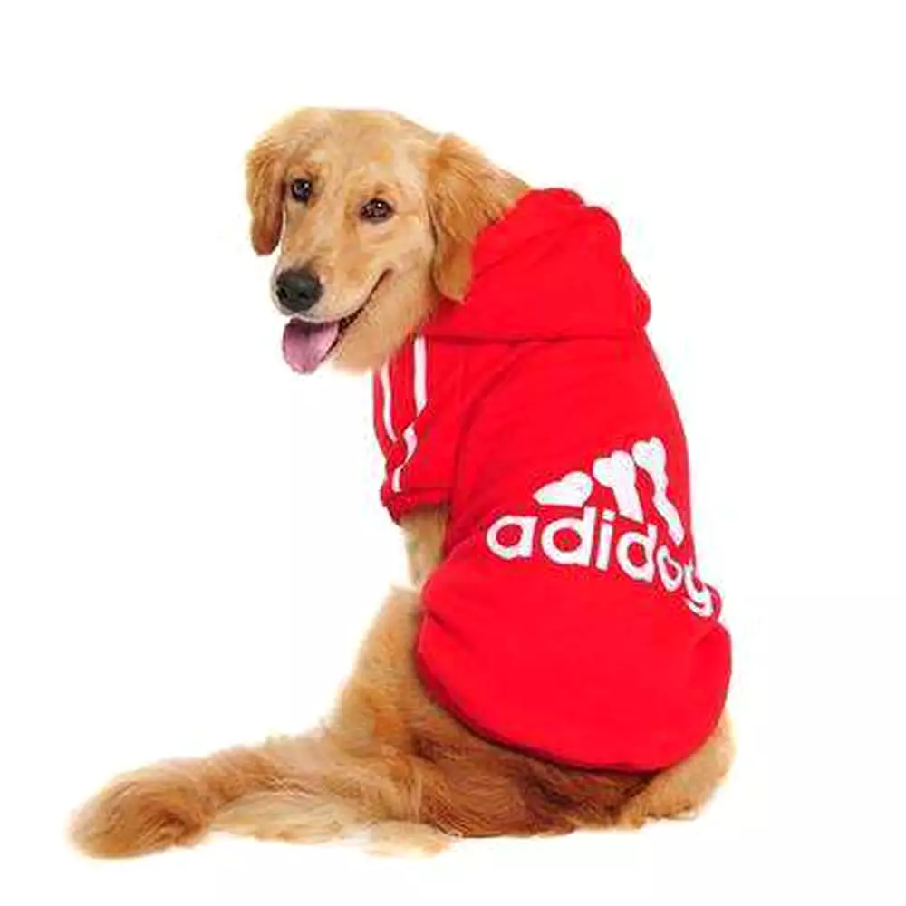 Big Dog Adidog Hoodie