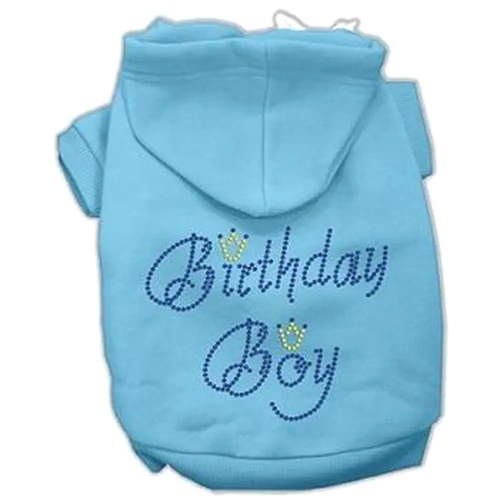 Birthday Boy Dog Hoodie - Blue