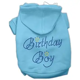 Birthday Boy Dog Hoodie - Blue