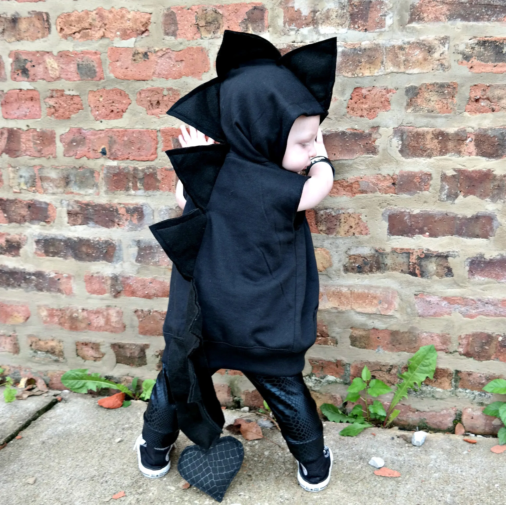 Black Dragon Hoodie With Tail