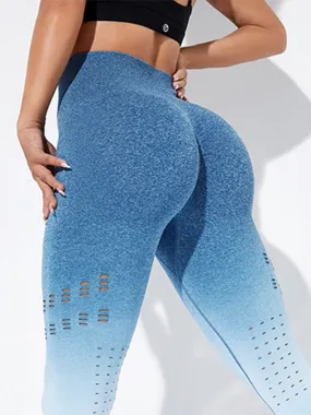 ZASUWA Female Ombre Fishnet Scrunch Bum Seamless Leggings